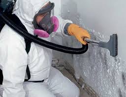 Mold Odor Removal Services in Lisle, IL